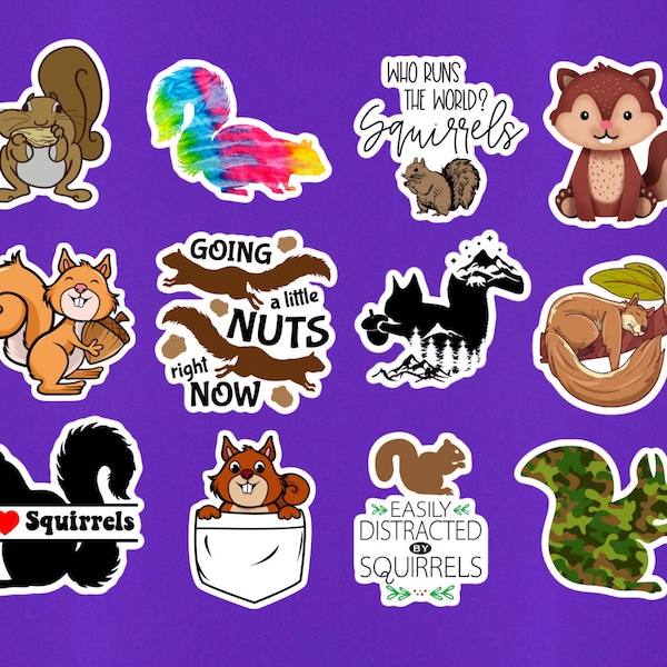 Set Of 12 Squirrel Stickers Approx 2" On Longest Side / Squirrel Laptop Sticker / Laptop Decals / Cute Animal Stickers / Squirrel Gift