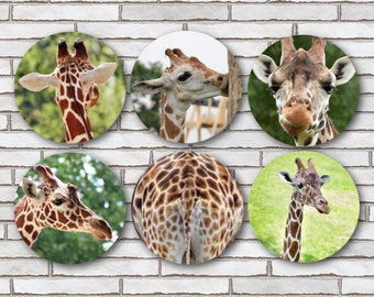 Giraffe Fridge Magnets or Giraffe Pinback Button Pins or Flatbacks For Scrapbooking And Crafts Set Of 6 Designs 1.25" Size Nature Wildlife