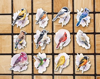 Set Of 12 Watercolor Bird Vinyl Stickers - 2" Die Cut Bird Sticker Pack - Cottagecore Stickers For Laptop - Birdwatching Birdwatcher Gifts