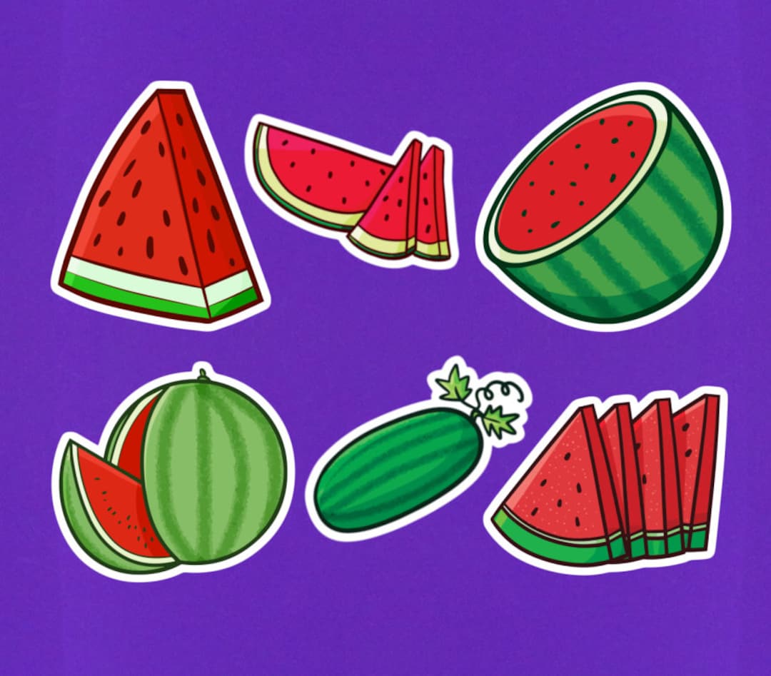 Set of 6 Watermelon Stickers 2 Size Watermelon Laptop Etsy