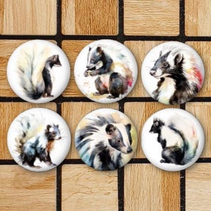 May include: Six watercolor paintings of skunks on white round buttons. The skunks are painted in black and white with a white stripe down their backs. The buttons are arranged in two rows of three.