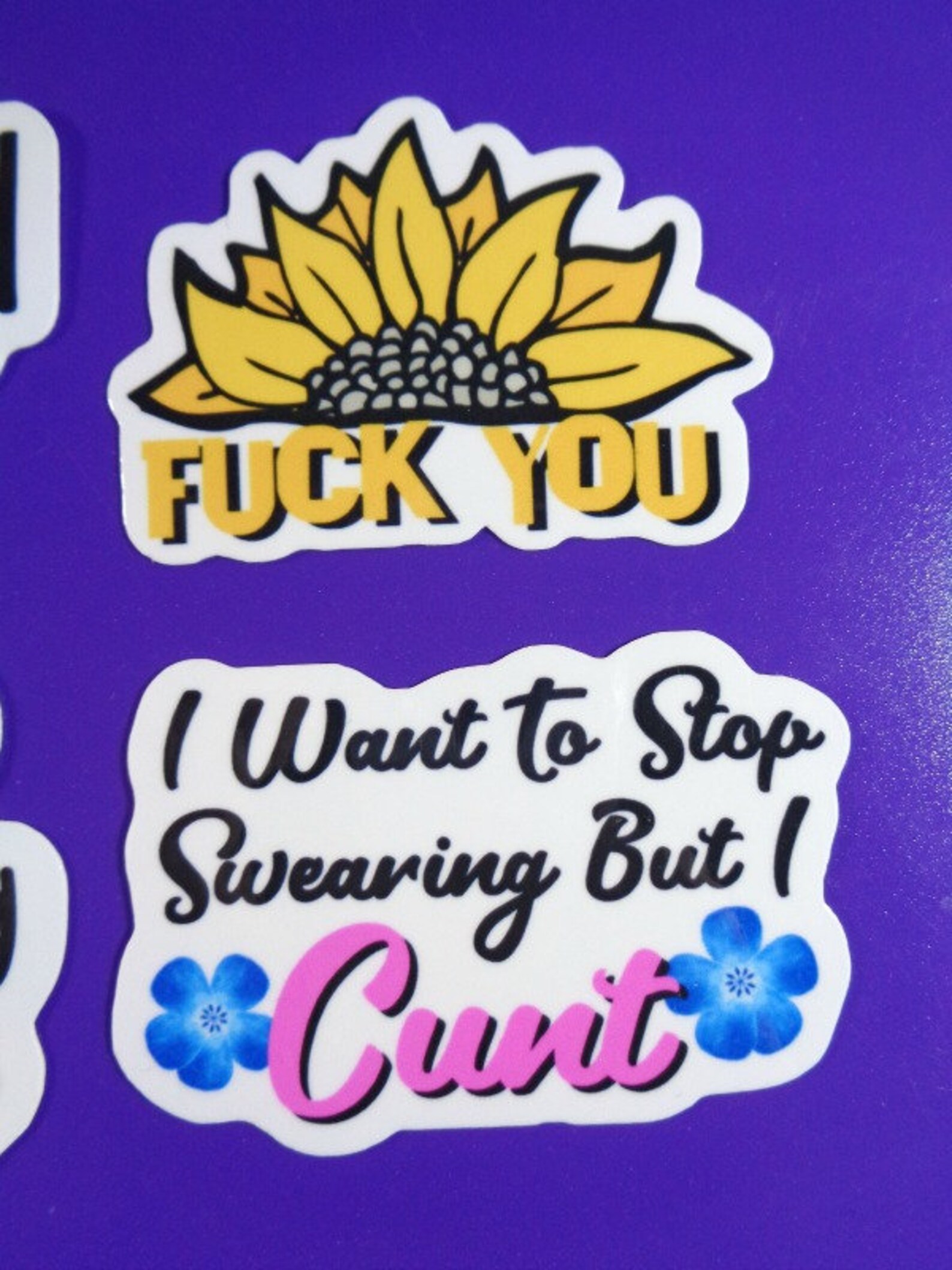 Swear Sticker Pack Set Of 6 Glossy Girly Swearing Stickers | Etsy