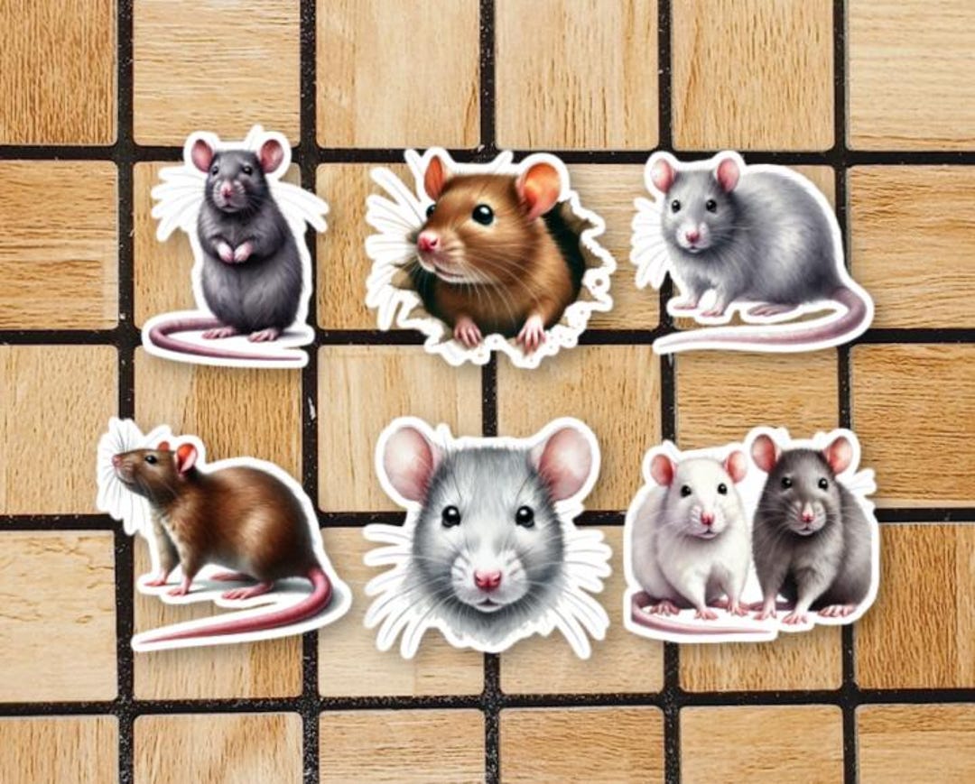 Sticker De Rata Colgada Set of 6 Watercolor Rat Stickers - 2