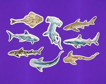 Set Of 8 Watercolor Shark Stickers 3" On Their Longest Side Die Cut Shark Sticker Pack