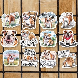 English Bulldog Gift 60 Gift Ideas for 2024
