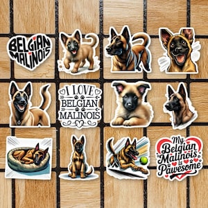 May include: A set of 10 stickers featuring Belgian Malinois dogs in various poses. The stickers include text such as "Belgian Malinois", "I Love Belgian Malinois", and "My Belgian Malinois is Pawsome".