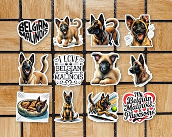 Juego de 12 pegatinas de perro pastor belga malinois - Paquete de pegatinas de perros adorables - Regalo para mamá y papá - Pegatinas de vinilo para portátil - Pegatinas de animales