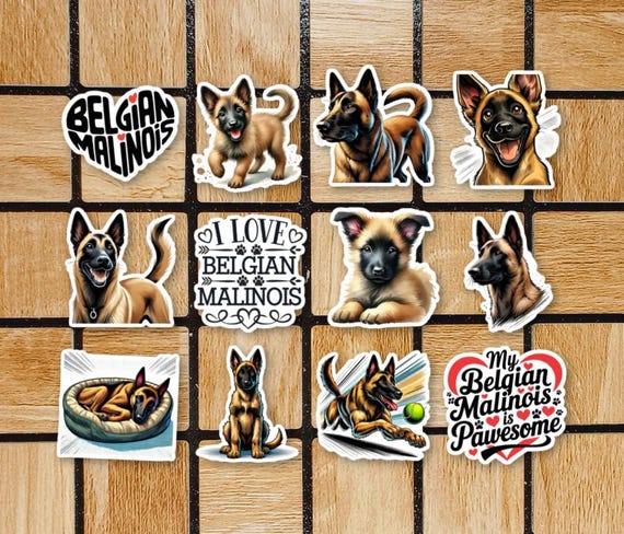 Set Of 12 Belgian Malinois Dog Stickers - Cute Dog Sticker Pack - Belgian Malinois Gift Mom Dad - Vinyl Laptop Stickers - Animal Stickers