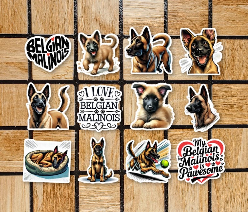 May include: A set of 10 stickers featuring Belgian Malinois dogs in various poses. The stickers include text such as "Belgian Malinois", "I Love Belgian Malinois", and "My Belgian Malinois is Pawsome".