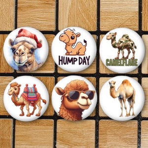Set Of 6 Camel Magnets Or Pinback Button Pins Or Flatbacks - 1.25" Size - Camel Decor Decorations - Camel Lover Home Gifts - Desert Animal