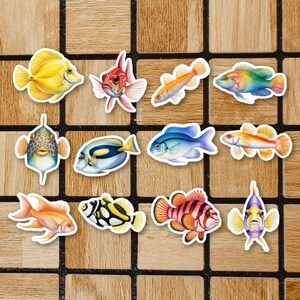 May include: A collection of colorful fish stickers, each with a unique design and vibrant hues. The stickers feature various species, including yellow, red, blue, and orange fish, with detailed illustrations and white borders. The stickers are arranged on a brown and black tiled surface.