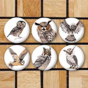 Set Of 6 Watercolor Owl Magnets or Pinback Button Pins - Cute Owl Gifts For Owl Lover - Owl Decor For Home - Cool Woodland Animal Magnet Set