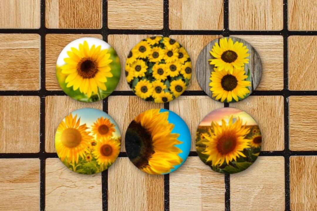 Set of 6 Sunflower Fridge Magnets or Pinback Button Pins - 1.25 ...