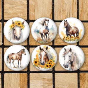 Set Of 6 Horse Magnets Or Pinback Button Pin - 1.25" - Equestrian Horse Lover Gift - Watercolor Horse Decor - Cute Country Western Aesthetic