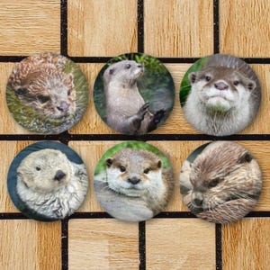 May include: Six round buttons featuring images of otters. The otters are shown in different poses, such as swimming, looking at the camera, and playing. The buttons are all the same size and shape, and are arranged in a grid pattern.