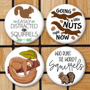 May include: Four round white buttons with black text and images of squirrels. The buttons say "Easily Distracted by Squirrels", "Going a little Nuts Right Now", "Who Runs the World? Squirrels", and a sleeping squirrel on a branch.