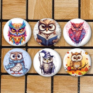 May include: A set of six circular pinback buttons featuring various owl illustrations. The designs include a vibrant multicoloured owl, an owl reading a book, a pink and red owl, an owl wearing a blue scarf, a wizard owl, and an owl perched on a branch.