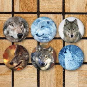 May include: Six round magnets featuring different images of wolves. The magnets are arranged in two rows of three. The wolves are depicted in various poses and settings, including a wolf howling at the moon, a wolf running through a forest, and a wolf standing in a snowy field.