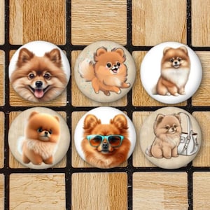 Set Of 6 Pomeranian Fridge Magnets Or Pinback Button Pins - 1.25&quot; Size - Cute Pomeranian Home Decor - Dog Lover Gifts For Pomeranian Mom