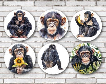 Set Of 6 Chimpanzee Magnets or Pinback Buttons - 1.25" - Cute Monkey Pin - Chimpanzee Gifts For Monkey Lovers - Zoo Animal Decor For Home