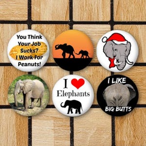 Set Of 6 Elephant Magnets - Elephant Pinback Button Pin - 1.25" Size - Cute Elephant Decor - Funny Elephant Gifts - I Like Big Butts Pun