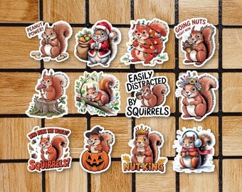 Set Of 12 Squirrel Stickers - 2"or 3" Die Cut Stickers - Squirrel Laptop Sticker - Laptop Decals - Cute Animal Stickers - Squirrel Gift