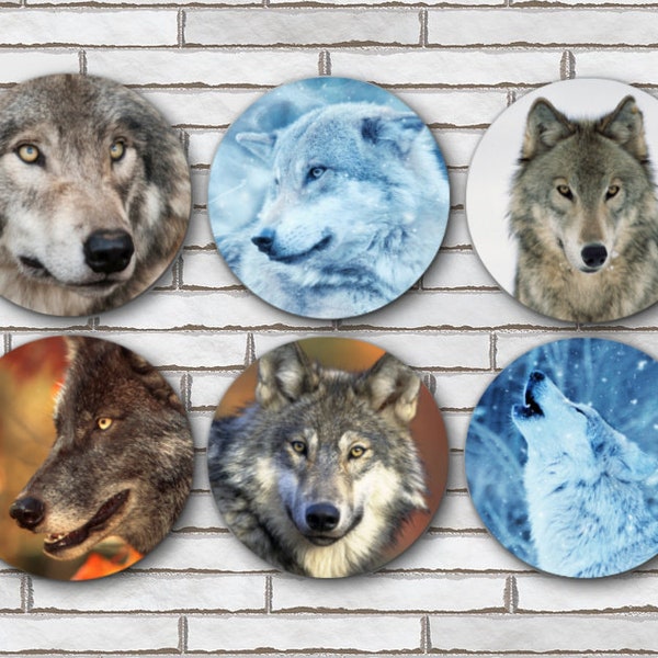 Set Of 6 Wolf Wolves 1.25" Pinback Buttons, Fridge Magnets or Scrapbook Flair Wolf Art Wolf Photography Wolf Decor Wolf Flair Wolf Gifts