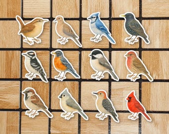 Set Of 12 Watercolor Bird Vinyl Stickers - 2" Die Cut Bird Sticker Pack - Cottagecore Stickers For Laptop - Birdwatching Birdwatcher Gifts
