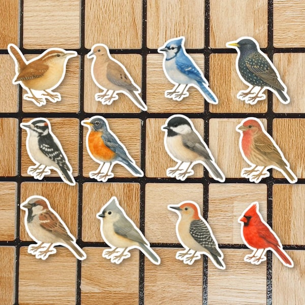 Set Of 12 Watercolor Bird Vinyl Stickers - 2" Die Cut Bird Sticker Pack - Cottagecore Stickers For Laptop - Birdwatching Birdwatcher Gifts