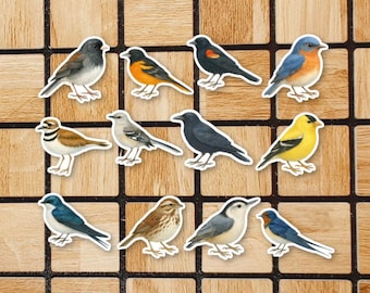 Set Of 12 Watercolor Bird Vinyl Stickers - 2" Die Cut Bird Sticker Pack - Cute Cottagecore Stickers For Laptop - Unique Bird Watcher Gift