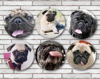 Set Of 6 Pug Magnets or Pinback Buttons Pin or Scrapbook Flair Pug Gifts For Pug Lovers Cute Pug Decor For Kitchen Pug Mom Gift Pug Dad Gift