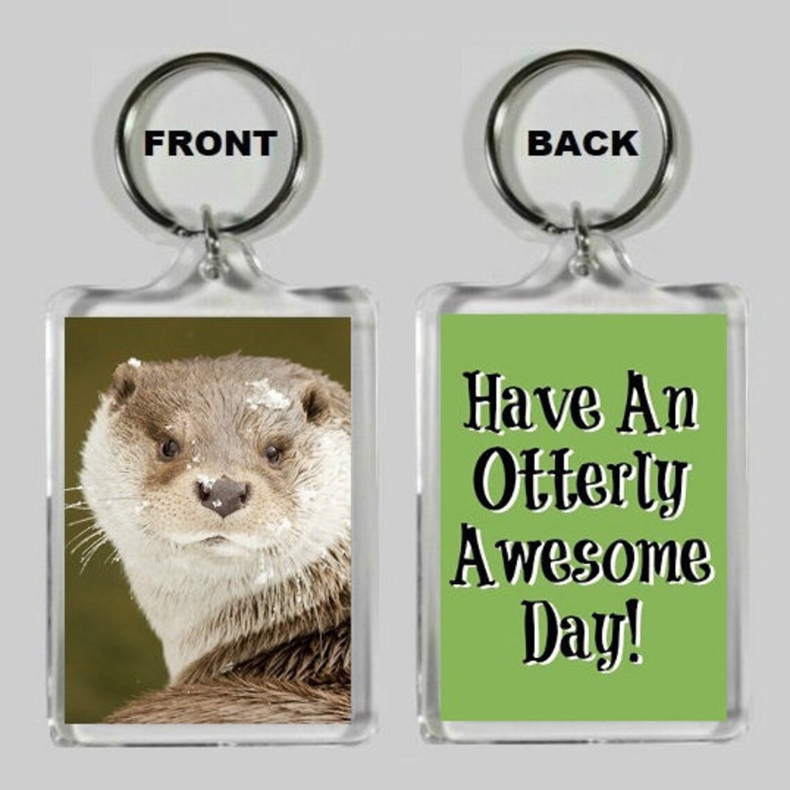 Have an Otterly Awesome Day Funny Otter Keychain Cute Otter Etsy