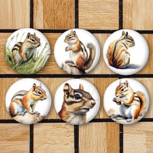 Chipmunk Fridge Magnets Or Pinback Button Pins Set Of 6 Size 1.25&quot; Chipmunk Themed Gift For Anyone Who Loves Chipmunks