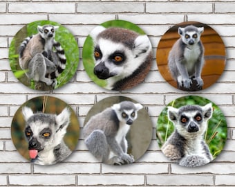 Keyring IR02 Mum Dad Birthday Gift #15821 1 X Lemur Monkey Wildlife Animal