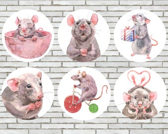 Set Of 6 Rat Fridge Magnets or Pinback Buttons or Scrapbook Flair Rat Gifts For Rat Owner Watercolor Rat Decor Animal Magnets Animal Pins