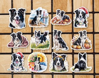Set Of 12 Border Collie Dog Stickers - Cute Dog Sticker Pack - Pet Border Collie Gift Mom Dad - Vinyl Laptop Stickers - Animal Scrapbook