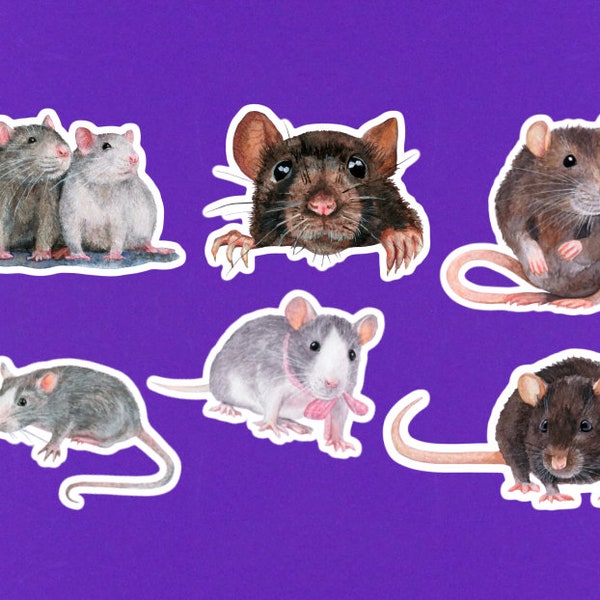 Set Of 6 Watercolor Rat Stickers / 3" Die Cut Sticker Pack / Gift For Rat Lover / Rat Themed Gifts / Rat Decor / Cute Cool Laptop Sticker