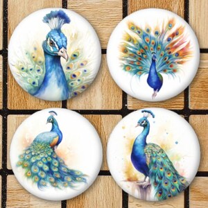 Può includere: Quattro piastrelle di ceramica rotonde bianche con dipinti ad acquerello di pavoni. Ogni piastrella presenta una posa di pavone diversa, tra cui un pavone con le penne della coda spiegate, un pavone con la testa alta e un pavone con le penne della coda parzialmente spiegate.