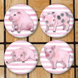Set Of 4 Pink Pig Fridge Magnets or Pinback Buttons LARGE 2.25&quot; Size Pig Decor Cute Pigs Pin Pig Lover Gifts Pot Belly Bellied Farm Animal
