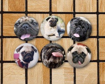 Pug things to buy hotsell