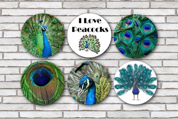 Peacock gifts deals
