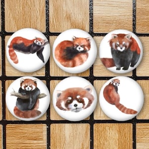 Set Of 6 Red Panda Fridge Magnets or Pinback Buttons 1.25" Size Red Panda Art Watercolor Panda Pin Red Panda Decor Panda Gifts For Kitchen