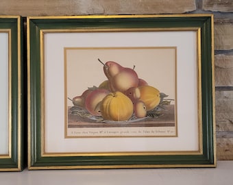 Vintage Colored Pear Lithograph in Green and Gold Wood Frame Fruit Still Life Art