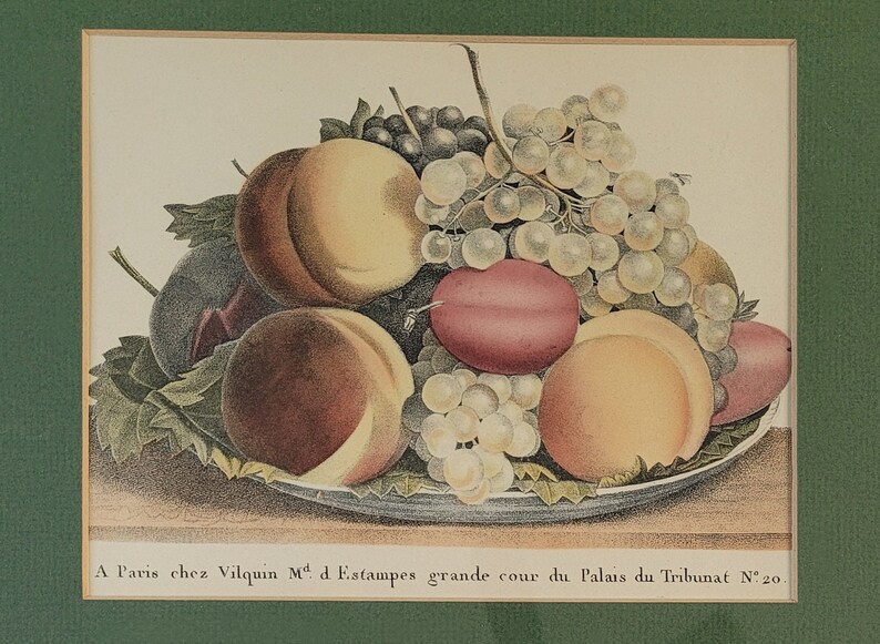 May include: A still life painting of a bowl of fruit. The bowl contains peaches, plums, and grapes. The peaches are a mix of yellow and red, and the plums are a deep purple. The grapes are a mix of green and purple. The painting is framed in a green frame.