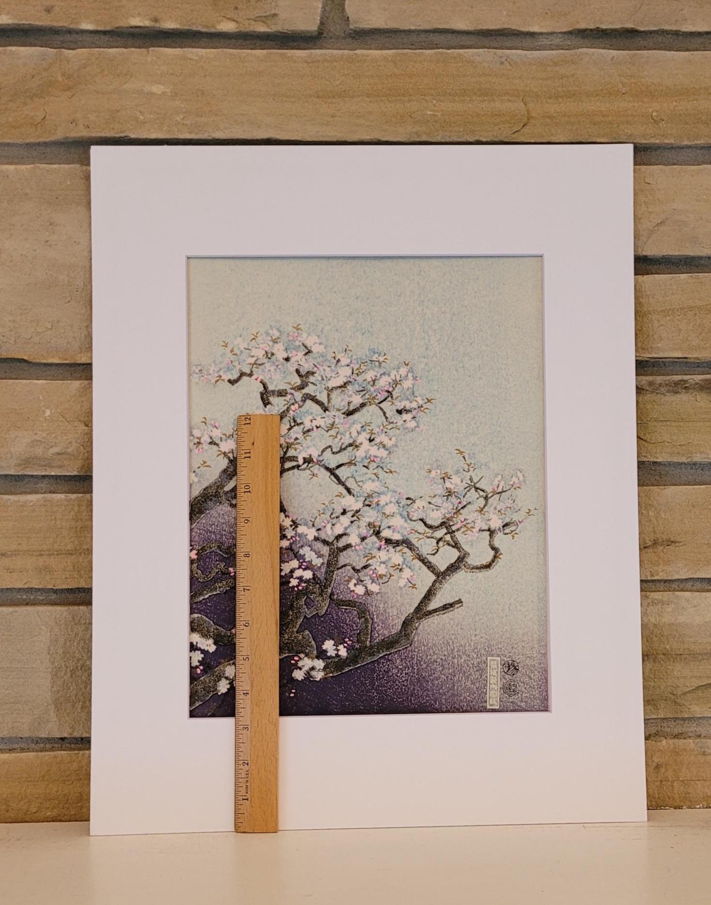 Vintage Japanese Cherry Blossoms Woodblock Print by Eiichi