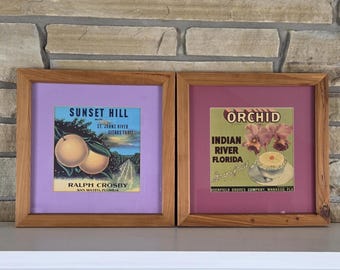 May include: Two square wooden frames containing vintage citrus crate labels. The left label features two oranges with the text Sunset Hill, St. Johns River Citrus Fruit, and Ralph Crosby. The right label shows orchids and a grapefruit with the text Orchid, Indian River Florida, and Deerfield Groves Company.