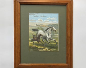 Chromolithographie ancienne représentant des chevaux, une jument et un poulain, sous cadre en bois