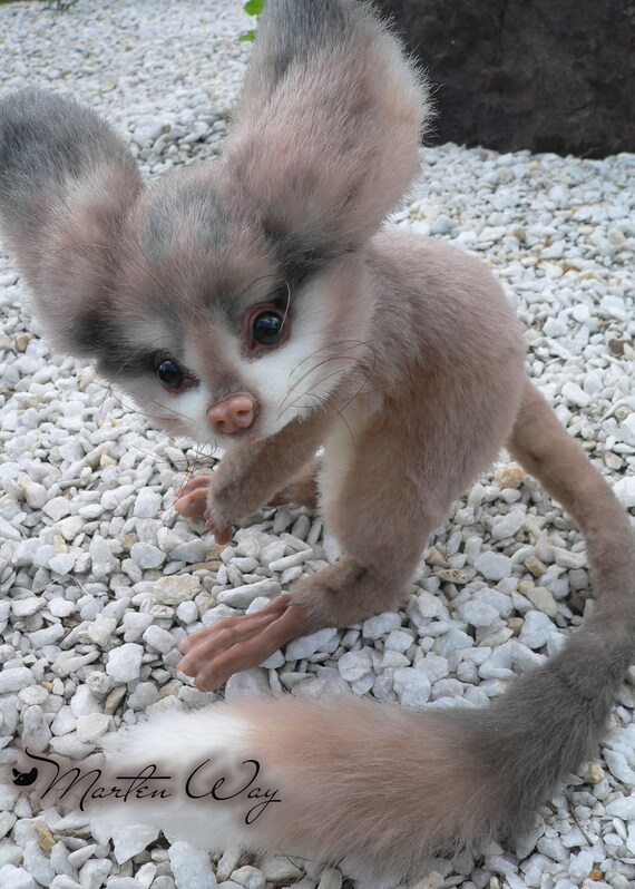 Gerboise Etsy Canada Gerboise Etsy Canada