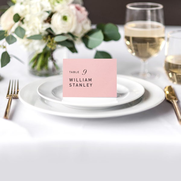 Simple Blush Escort Cards | Guest's Place Cards, Modern Place Cards, Formal Escort Cards, Tented Place Cards