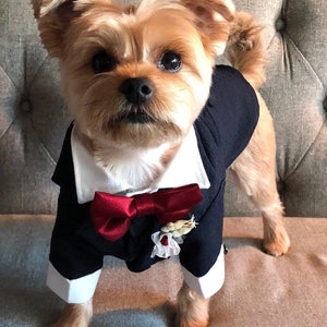 Dog Tuxedo, Dog Suit, Dog wedding attire, Navy Blue, Navy Blue Dog Tuxedo, Formal dog suit, Cat Suit, Cat Tuxedo, Customized dog Suit